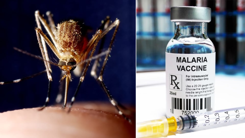 Testování vakcíny proti malárii zatím probíhá úspěšně